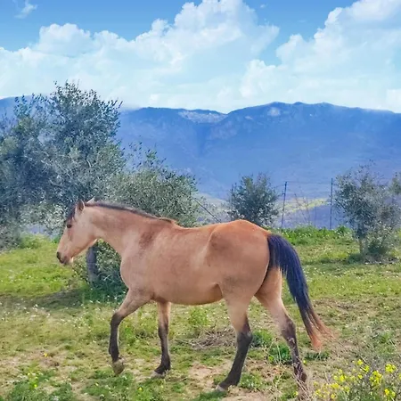 In Collesano Pa Apartment *